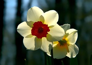 horizons-patterns-phil-koch