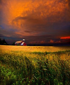 horizons-2-homestead-phil-koch