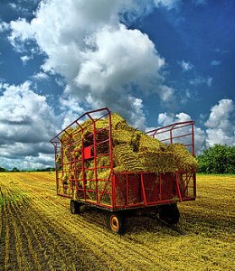 horizons-a-hard-days-work-phil-koch