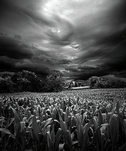 horizons-homesoil-stormed-phil-koch