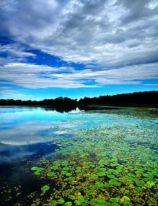 horizons-reflected-lillies-phil-koch