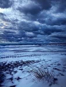 horizon-barren-phil-koch