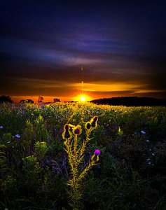 horizons-afterglow-phil-koch