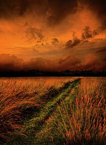 horizons-the-path-to-reclusivity-phil-koch