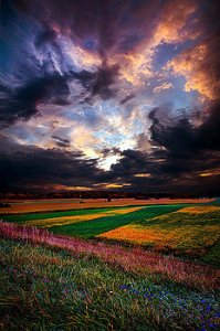 horizons-echos-of-life-phil-koch