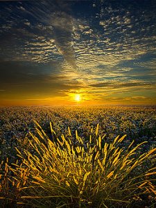 horizons-rural-choir-phil-koch