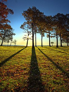 horizons-silouettey-phil-koch