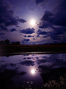 horizon-moonshine-phil-koch