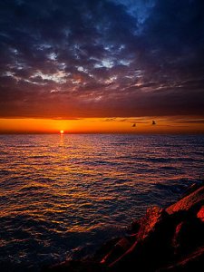 horizons-follow-mw-phil-koch