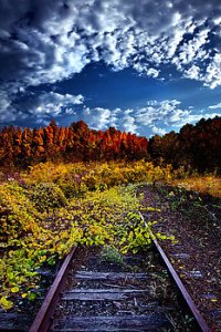 horizons-last-stop-phil-koch
