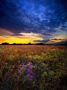 horizons-return-to-bonnies-meadow-phil-koch